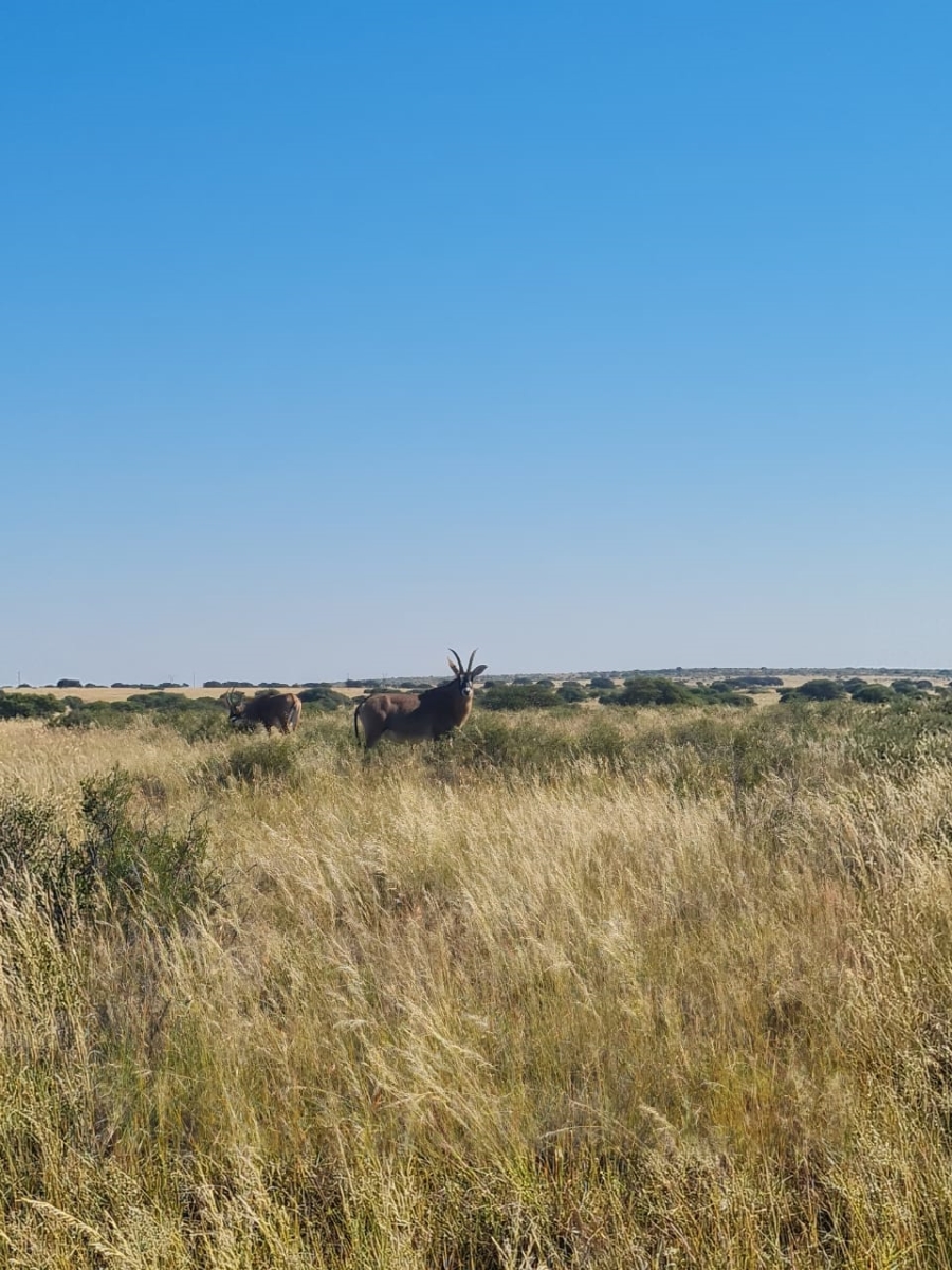 Commercial Property for Sale in Boshof Rural Free State